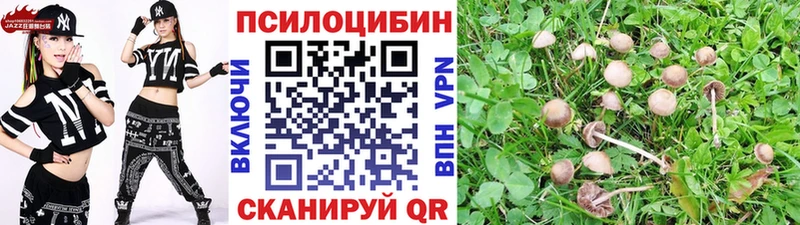 Купить где  Красноярск  Псилоцибиновые грибы мухоморы 
